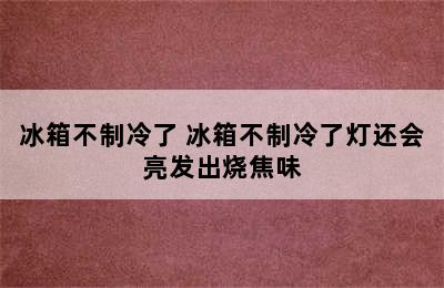 冰箱不制冷了 冰箱不制冷了灯还会亮发出烧焦味